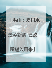 洪山：夏日水景添新韵 碧波粉黛入画来