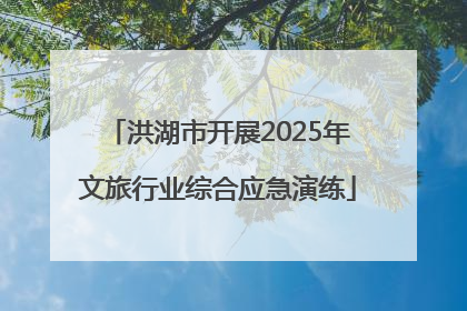洪湖市开展2025年文旅行业综合应急演练
