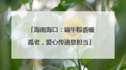 海南海口：端午粽香暖孤老，爱心传递显担当