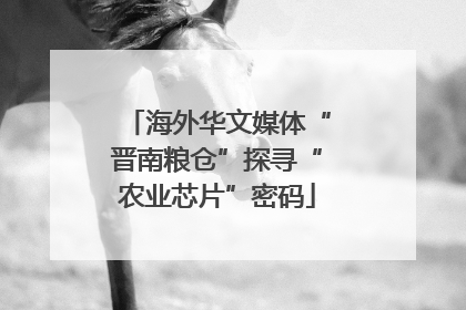海外华文媒体“晋南粮仓”探寻“农业芯片”密码