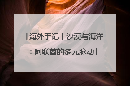 海外手记丨沙漠与海洋：阿联酋的多元脉动