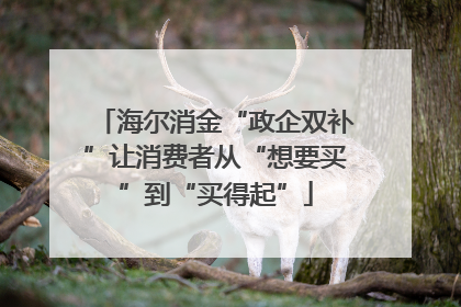 海尔消金“政企双补”让消费者从“想要买”到“买得起”