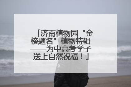 济南植物园“金榜题名”植物特辑——为中高考学子送上自然祝福！