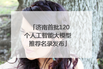 济南首批120个人工智能大模型推荐名录发布
