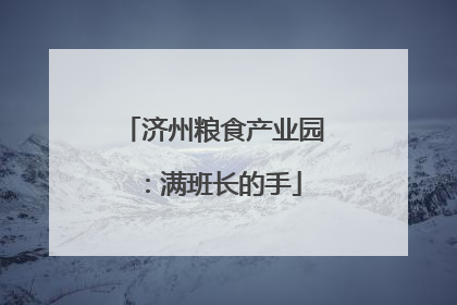 济州粮食产业园：满班长的手