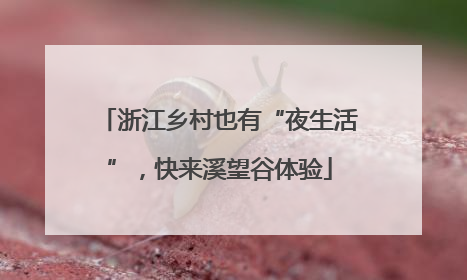 浙江乡村也有“夜生活”，快来溪望谷体验