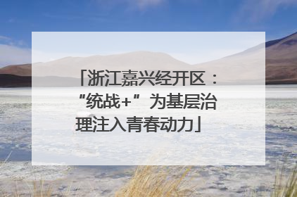 浙江嘉兴经开区：“统战+”为基层治理注入青春动力