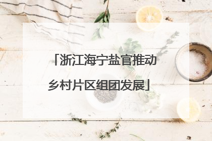 浙江海宁盐官推动乡村片区组团发展