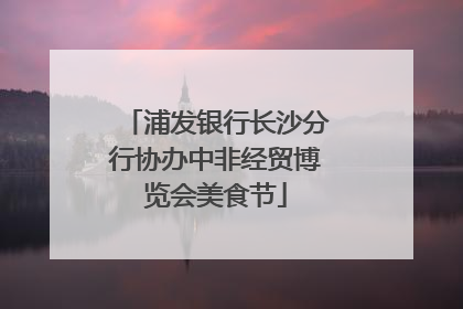 浦发银行长沙分行协办中非经贸博览会美食节