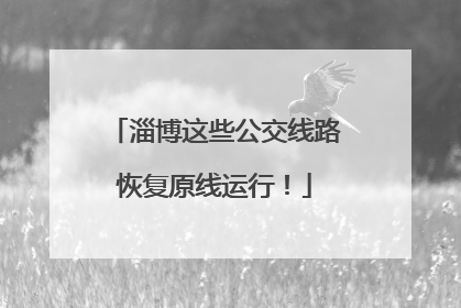 淄博这些公交线路恢复原线运行！