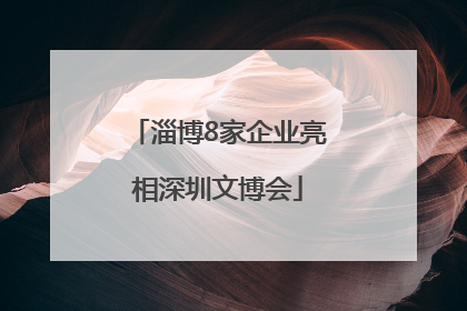 淄博8家企业亮相深圳文博会