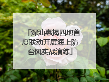 深汕惠揭四地首度联动开展海上防台风实战演练