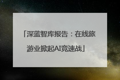 深蓝智库报告：在线旅游业掀起AI竞速战