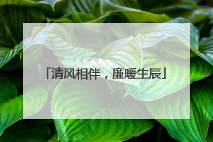 清风相伴，廉暖生辰