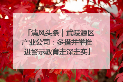 清风头条｜武陵源区产业公司：多措并举推进警示教育走深走实