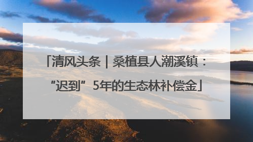 清风头条｜桑植县人潮溪镇：“迟到”5年的生态林补偿金