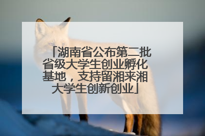 湖南省公布第二批省级大学生创业孵化基地，支持留湘来湘大学生创新创业