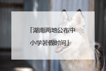 湖南两地公布中小学暑假时间