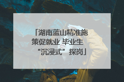 湖南蓝山精准施策促就业 毕业生“沉浸式”探岗