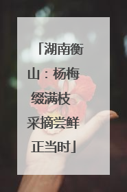 湖南衡山：杨梅缀满枝 采摘尝鲜正当时