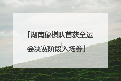 湖南象棋队首获全运会决赛阶段入场券