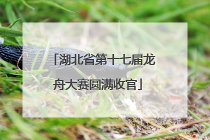 湖北省第十七届龙舟大赛圆满收官