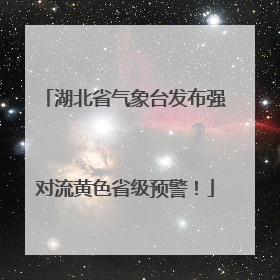 湖北省气象台发布强对流黄色省级预警！