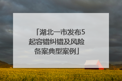 湖北一市发布5起容错纠错及风险备案典型案例