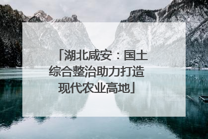 湖北咸安：国土综合整治助力打造现代农业高地