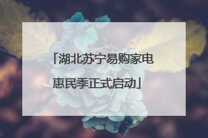 湖北苏宁易购家电惠民季正式启动