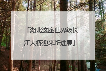 湖北这座世界级长江大桥迎来新进展
