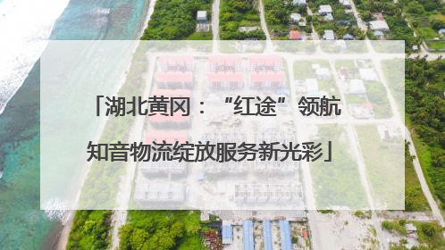 湖北黄冈：“红途”领航 知音物流绽放服务新光彩