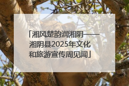 湘风楚韵润湘阴——湘阴县2025年文化和旅游宣传周见闻