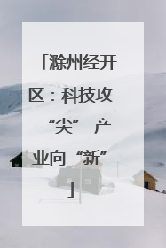滁州经开区：科技攻“尖” 产业向“新”