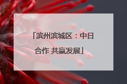 滨州滨城区：中日合作 共赢发展