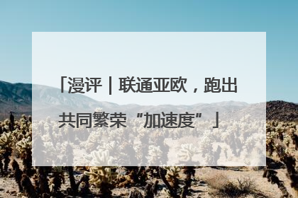 漫评｜联通亚欧，跑出共同繁荣“加速度”