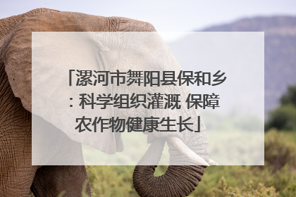 漯河市舞阳县保和乡：科学组织灌溉 保障农作物健康生长