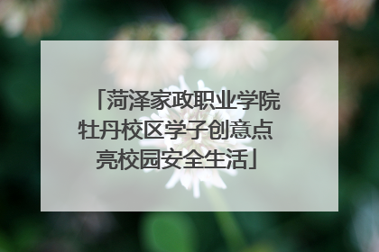 菏泽家政职业学院牡丹校区学子创意点亮校园安全生活