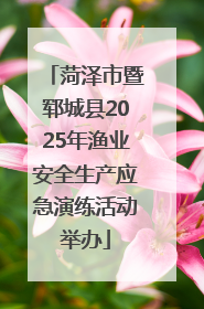 菏泽市暨郓城县2025年渔业安全生产应急演练活动举办