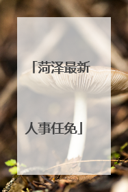 菏泽最新人事任免