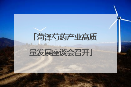 菏泽芍药产业高质量发展座谈会召开