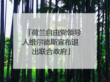 荷兰自由党领导人维尔德斯宣布退出联合政府
