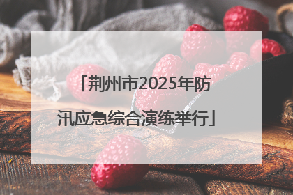 荆州市2025年防汛应急综合演练举行