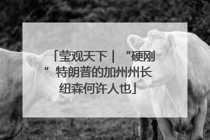 莹观天下｜“硬刚”特朗普的加州州长纽森何许人也