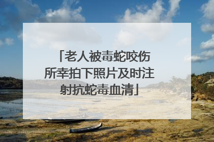 老人被毒蛇咬伤 所幸拍下照片及时注射抗蛇毒血清