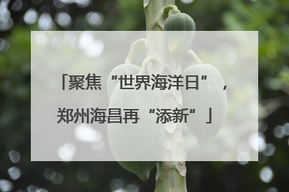 聚焦“世界海洋日”，郑州海昌再“添新”
