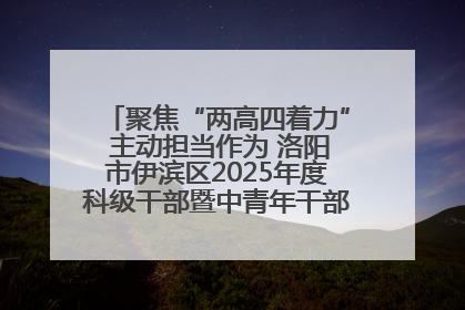 聚焦“两高四着力” 主动担当作为 洛阳市伊滨区2025年度科级干部暨中青年干部培训班开班