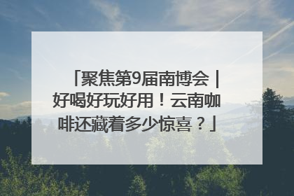 聚焦第9届南博会｜好喝好玩好用！云南咖啡还藏着多少惊喜？