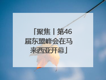 聚焦丨第46届东盟峰会在马来西亚开幕