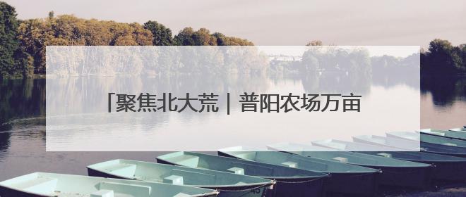 聚焦北大荒｜普阳农场万亩稻田夏管工作科技感满满